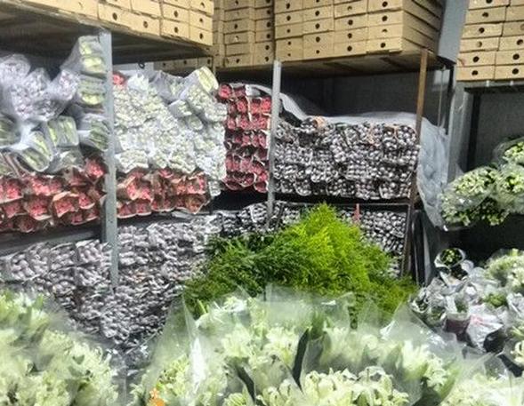 花卉冷庫