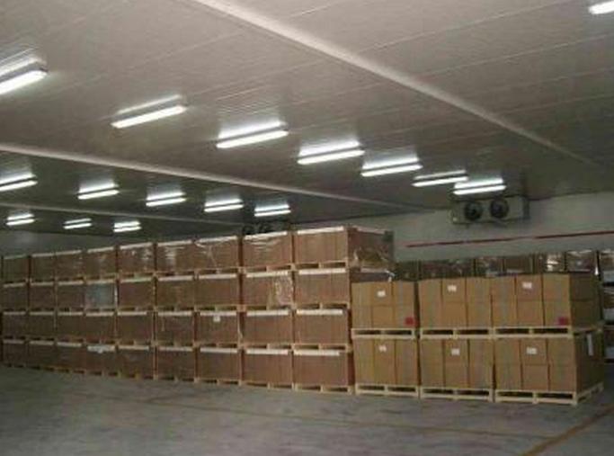 冷庫建造標準與建設用地