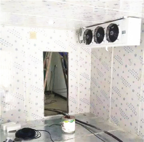 冷凍冷庫(kù)建造