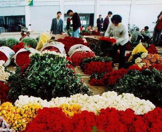 花卉冷庫(kù)