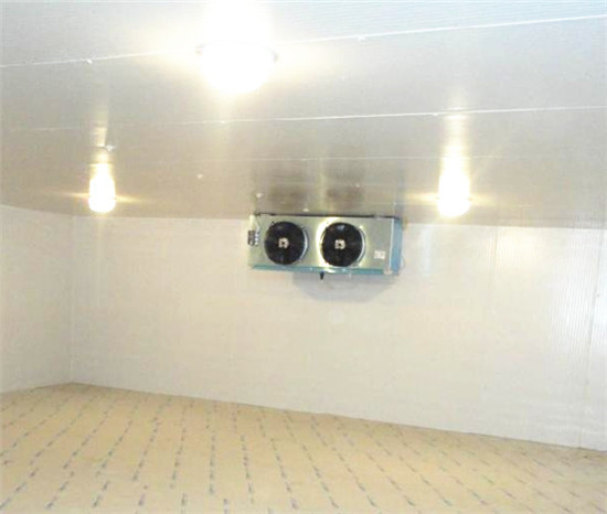 低溫冷庫(kù)建造