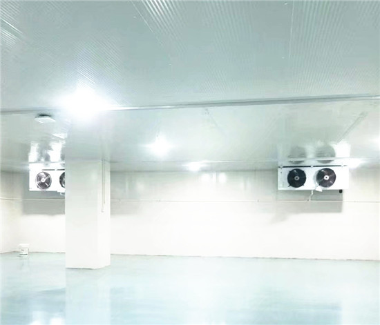 低溫冷庫(kù)建造