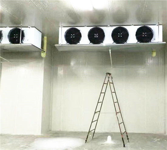 果蔬冷庫(kù)建造