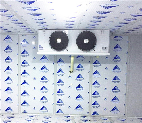 低溫速凍冷庫(kù)